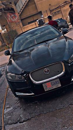 جاكوار XF